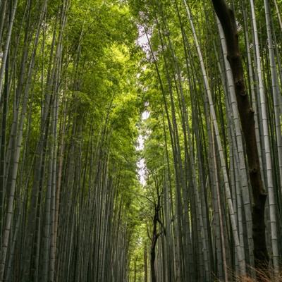 naraka永劫无间助手官方版下载